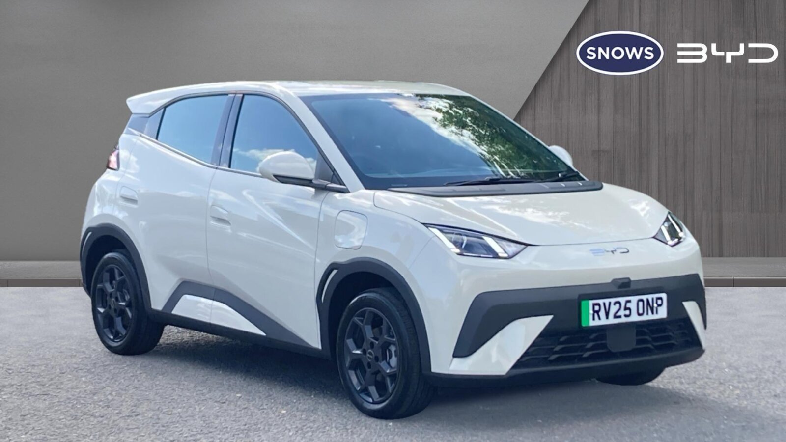 Main listing image - BYD Dolphin Surf