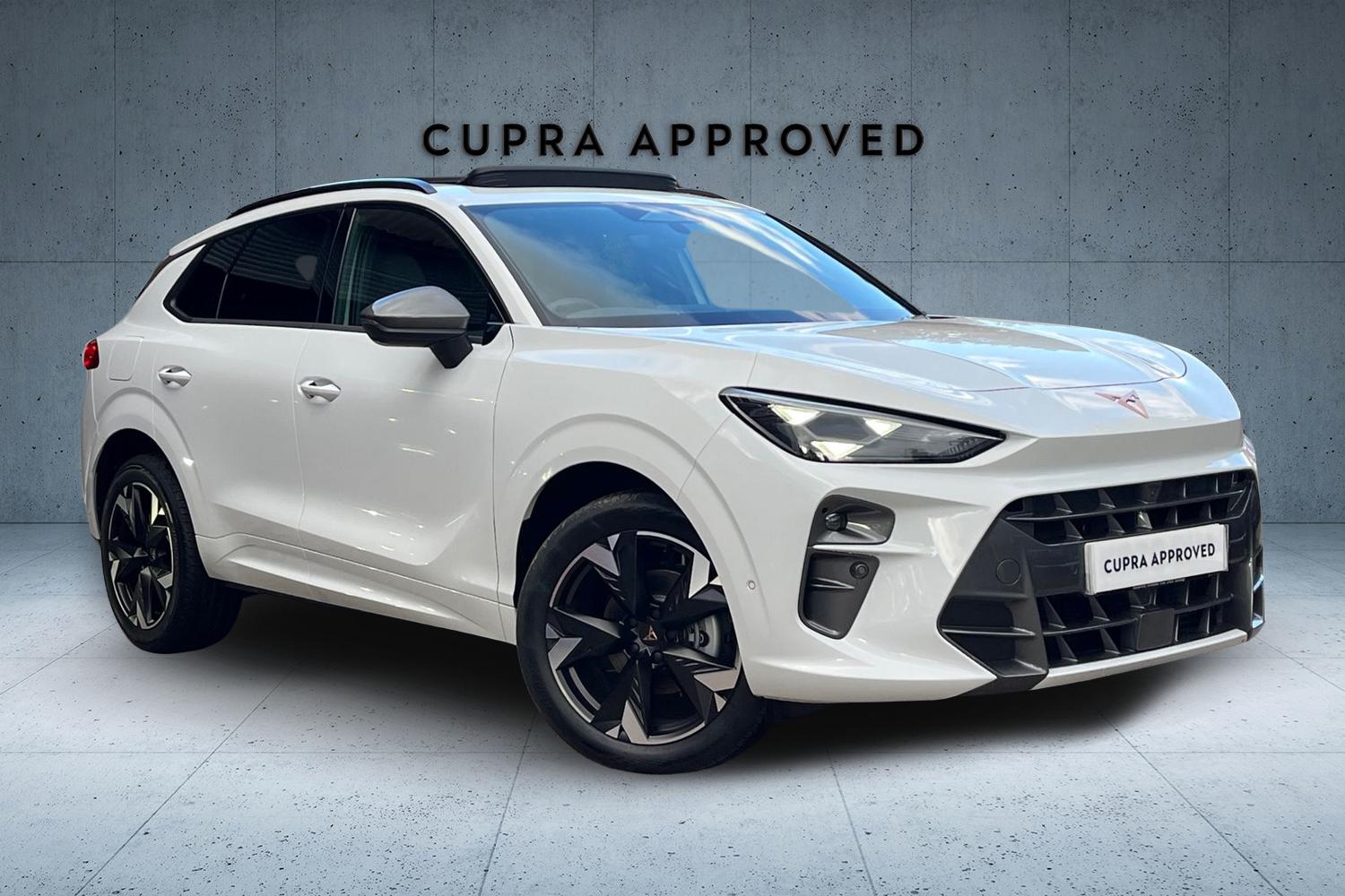 Main listing image - Cupra Terramar