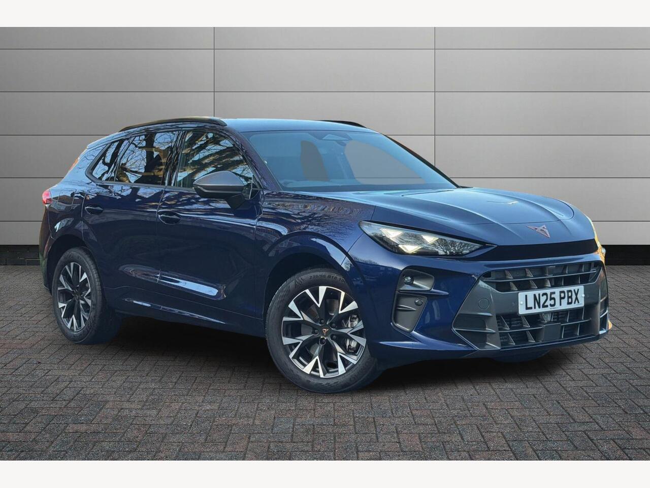 Main listing image - Cupra Terramar