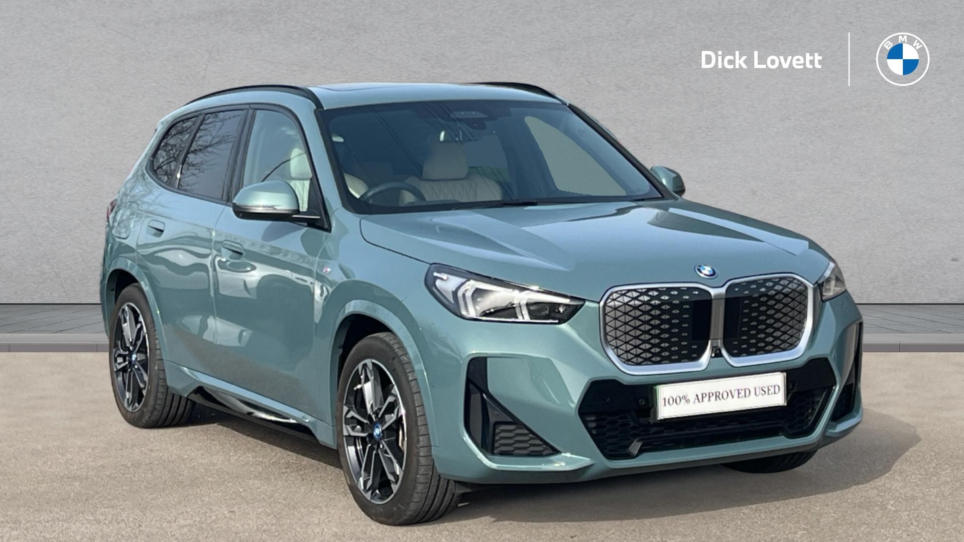 Main listing image - BMW iX1