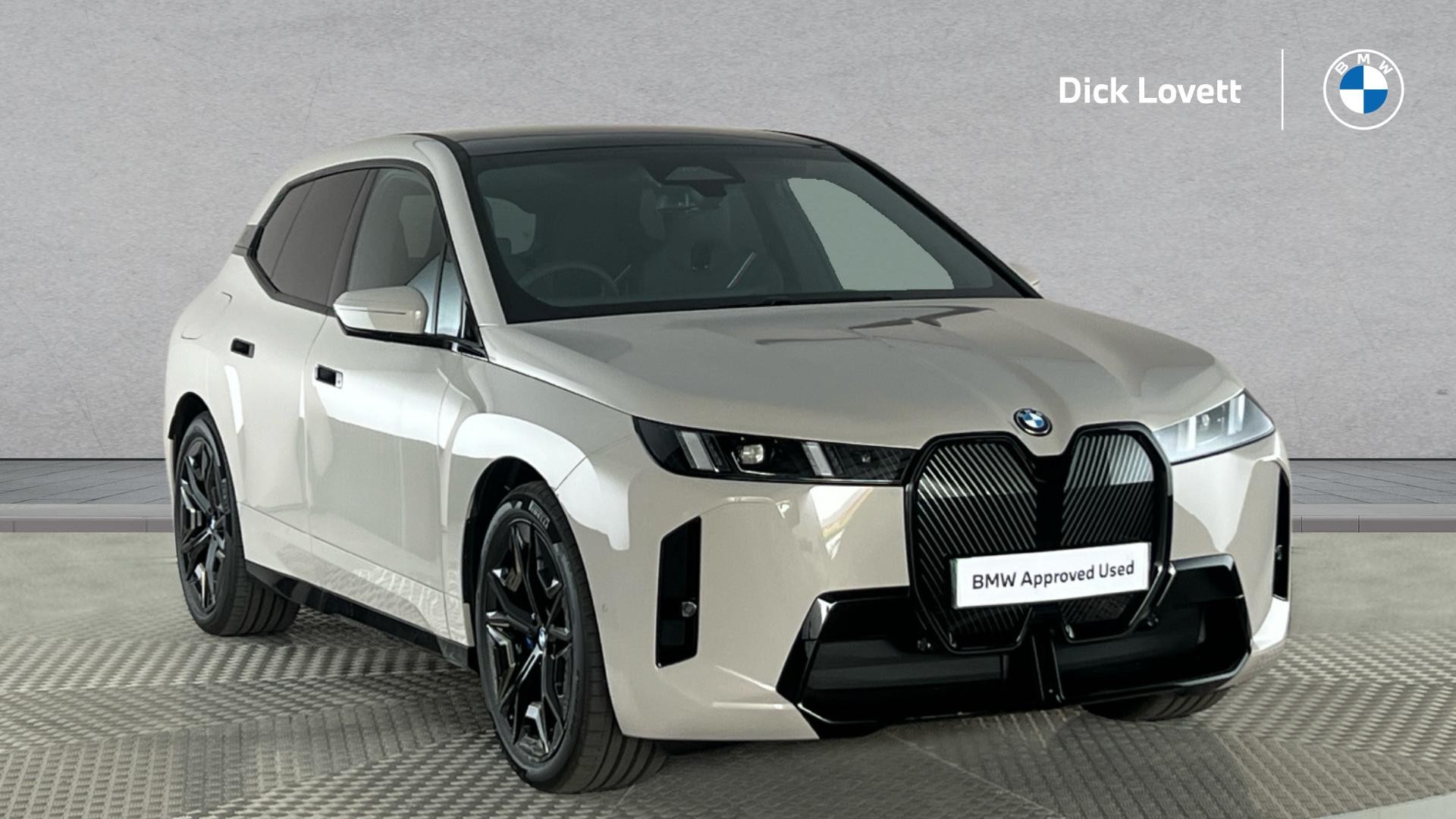 Main listing image - BMW iX