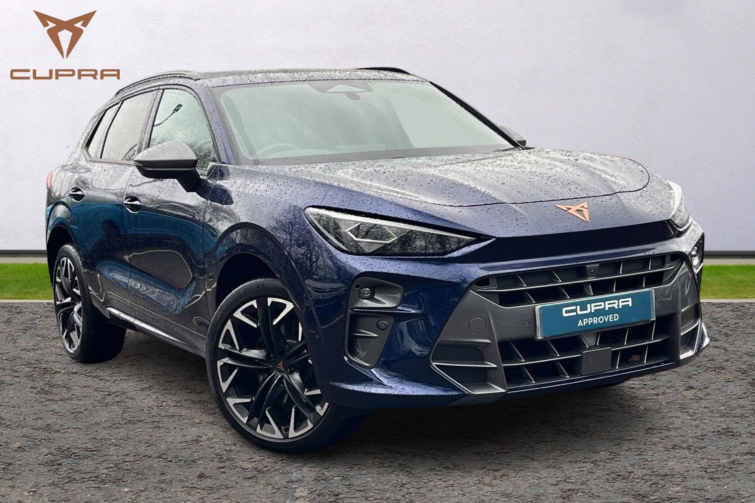 Main listing image - Cupra Terramar