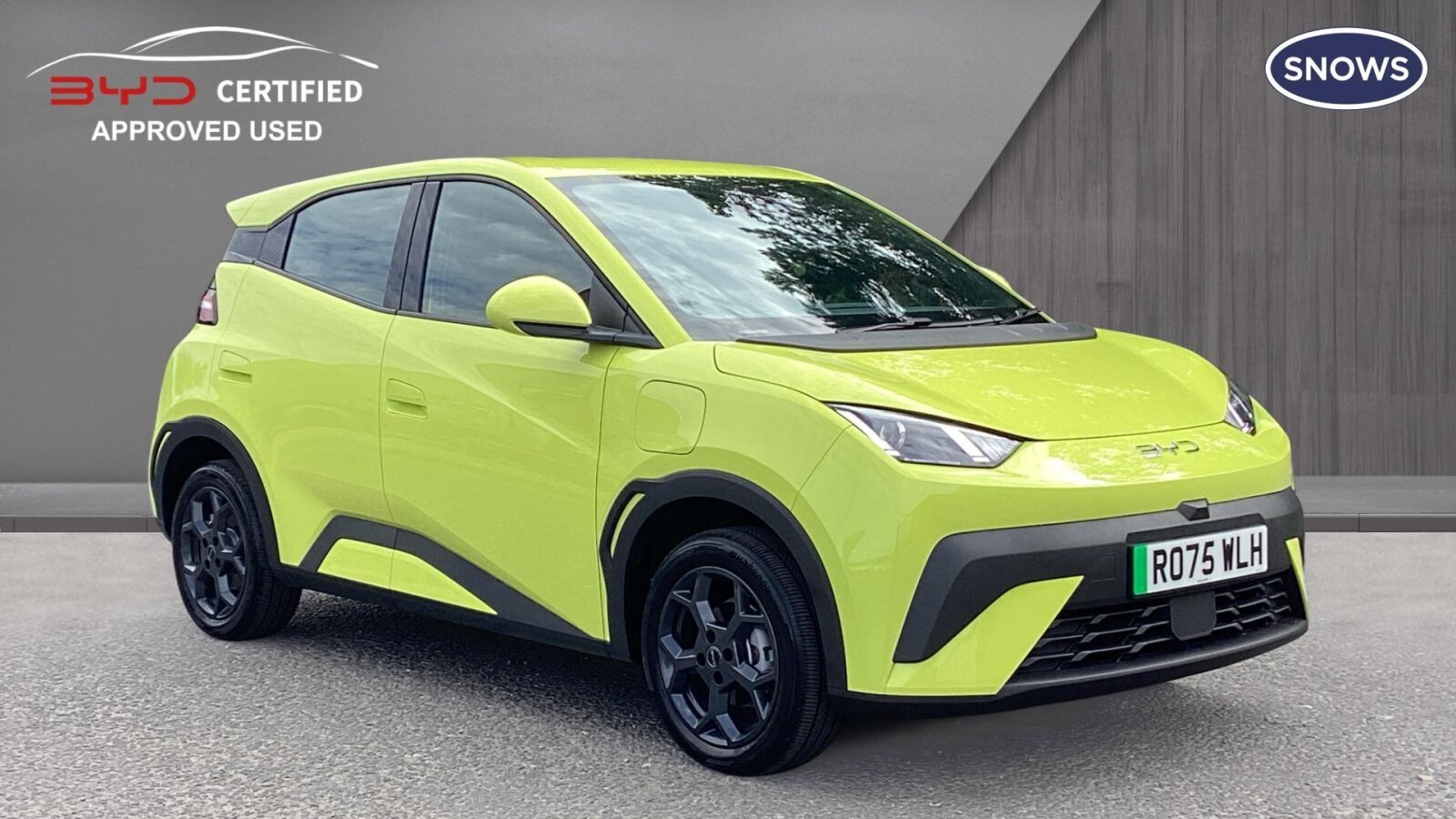 Main listing image - BYD Dolphin Surf
