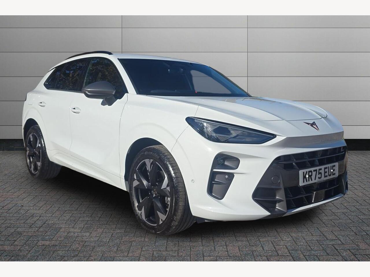 Main listing image - Cupra Terramar