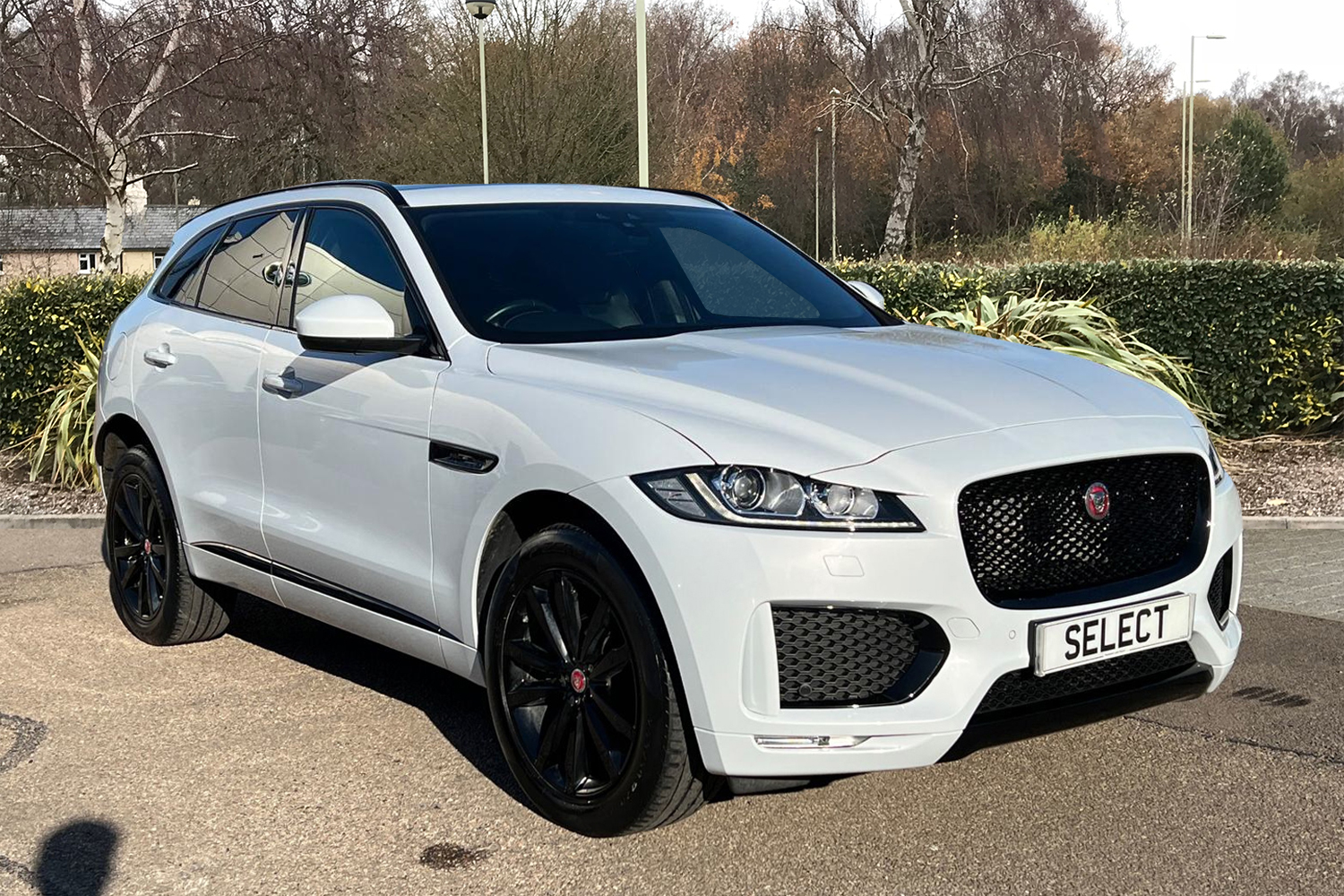 Main listing image - Jaguar F-Pace