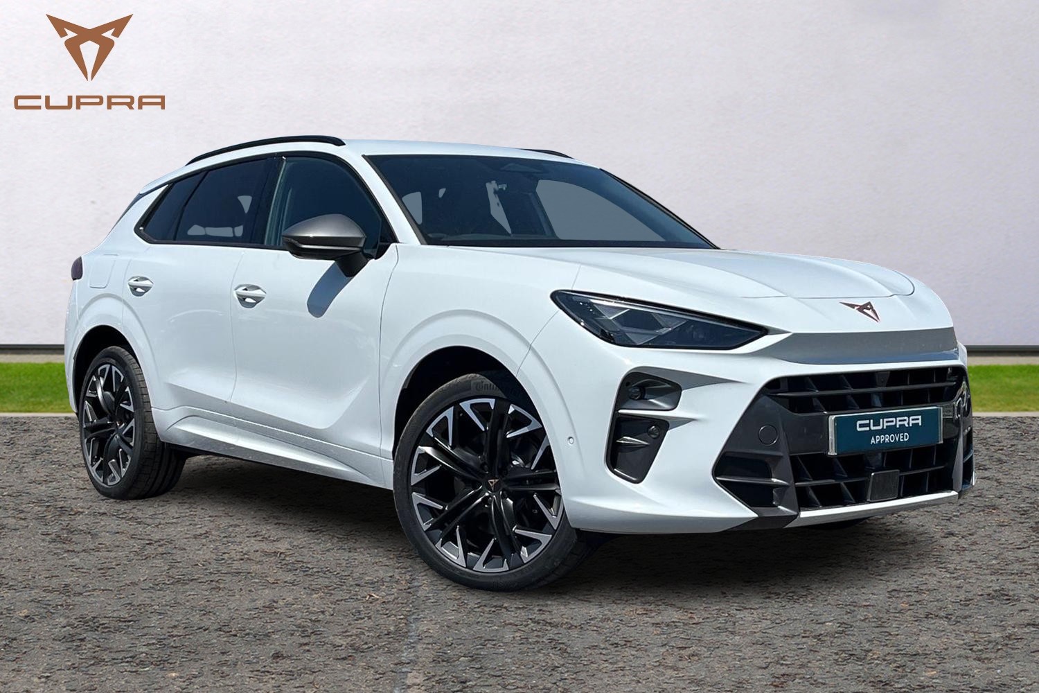 Main listing image - Cupra Terramar