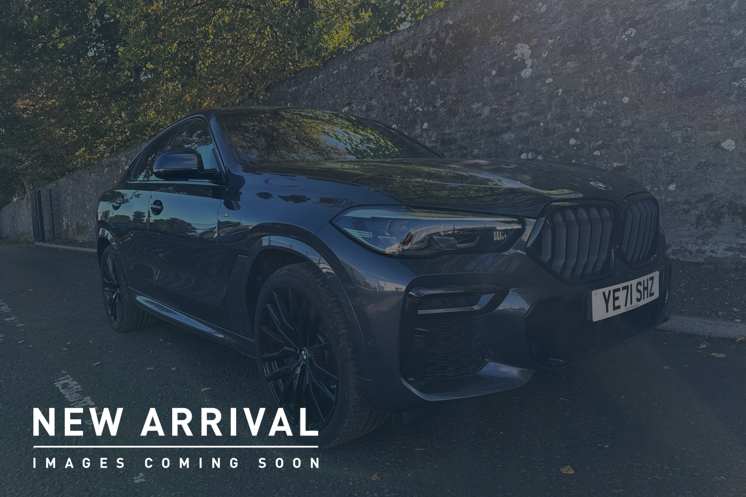 Main listing image - BMW X6