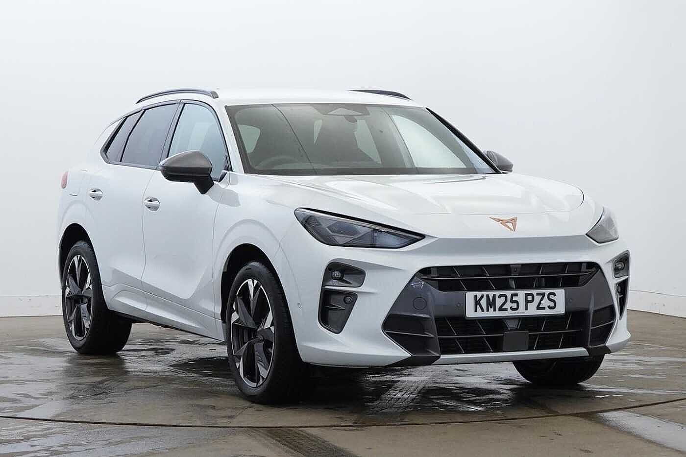 Main listing image - Cupra Terramar