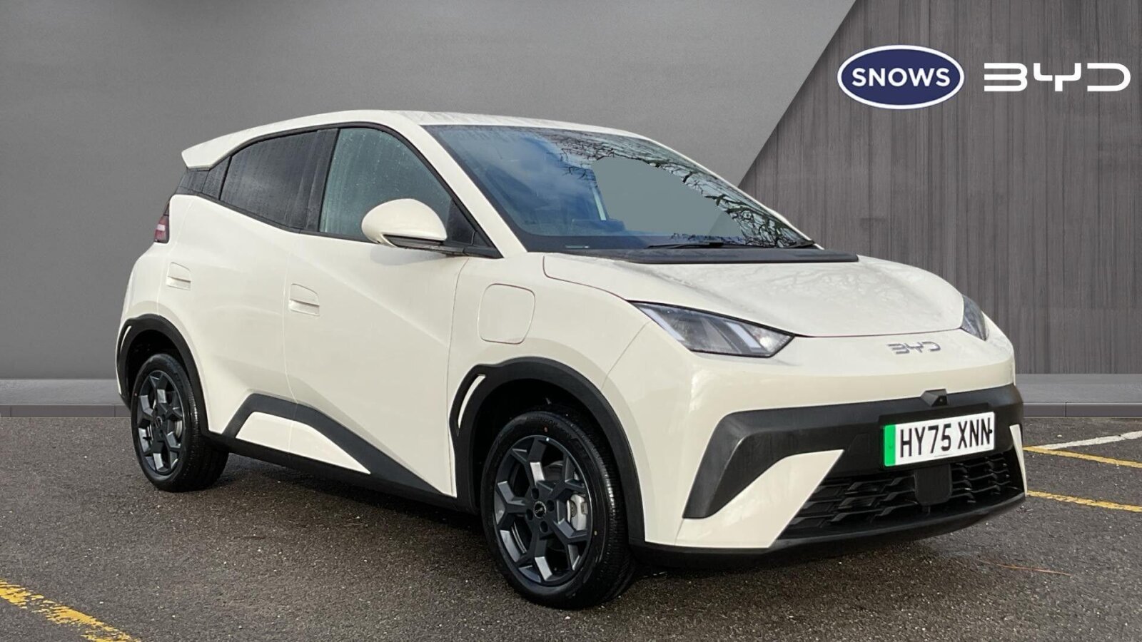 Main listing image - BYD Dolphin Surf