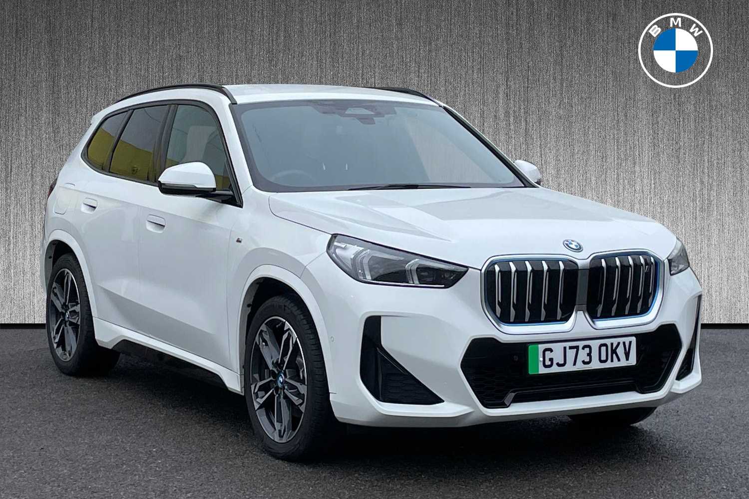 Main listing image - BMW iX1