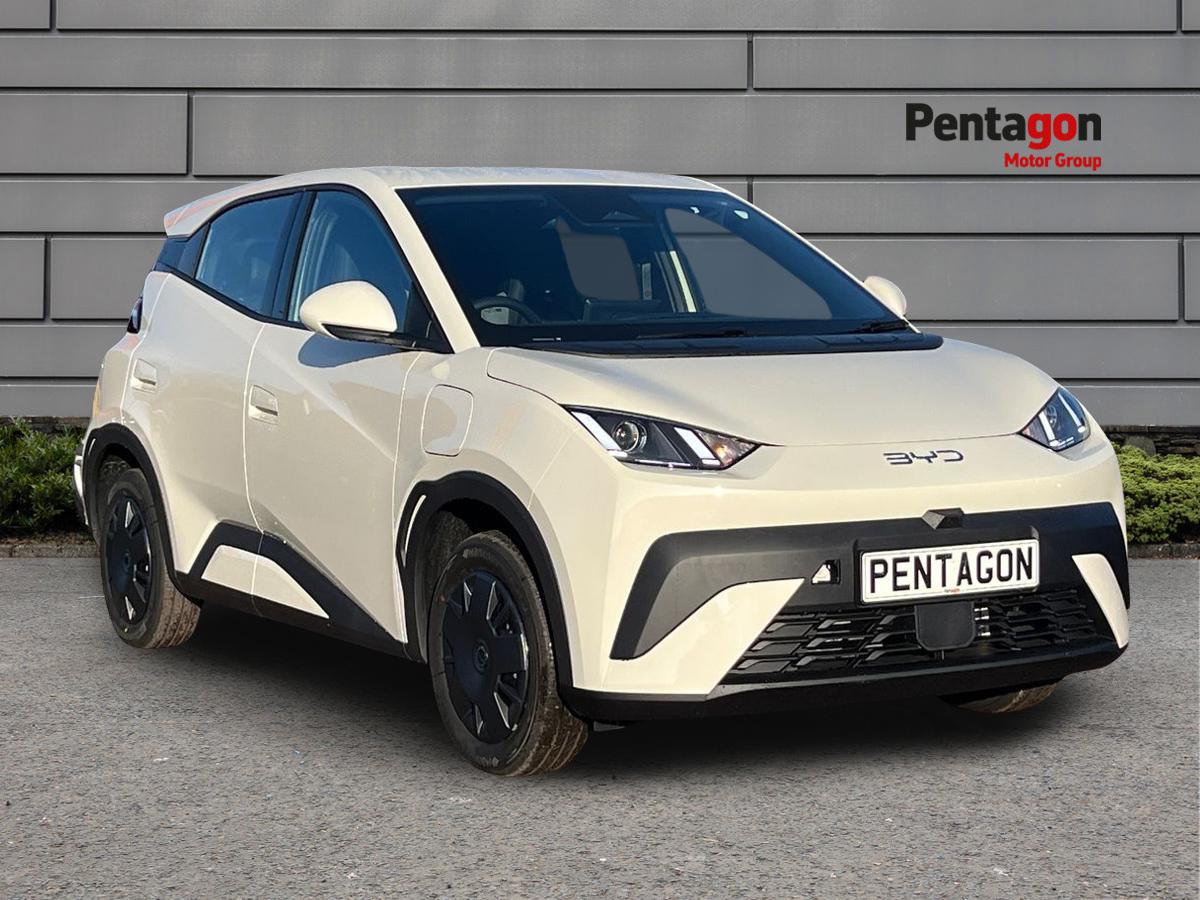 Main listing image - BYD Dolphin Surf