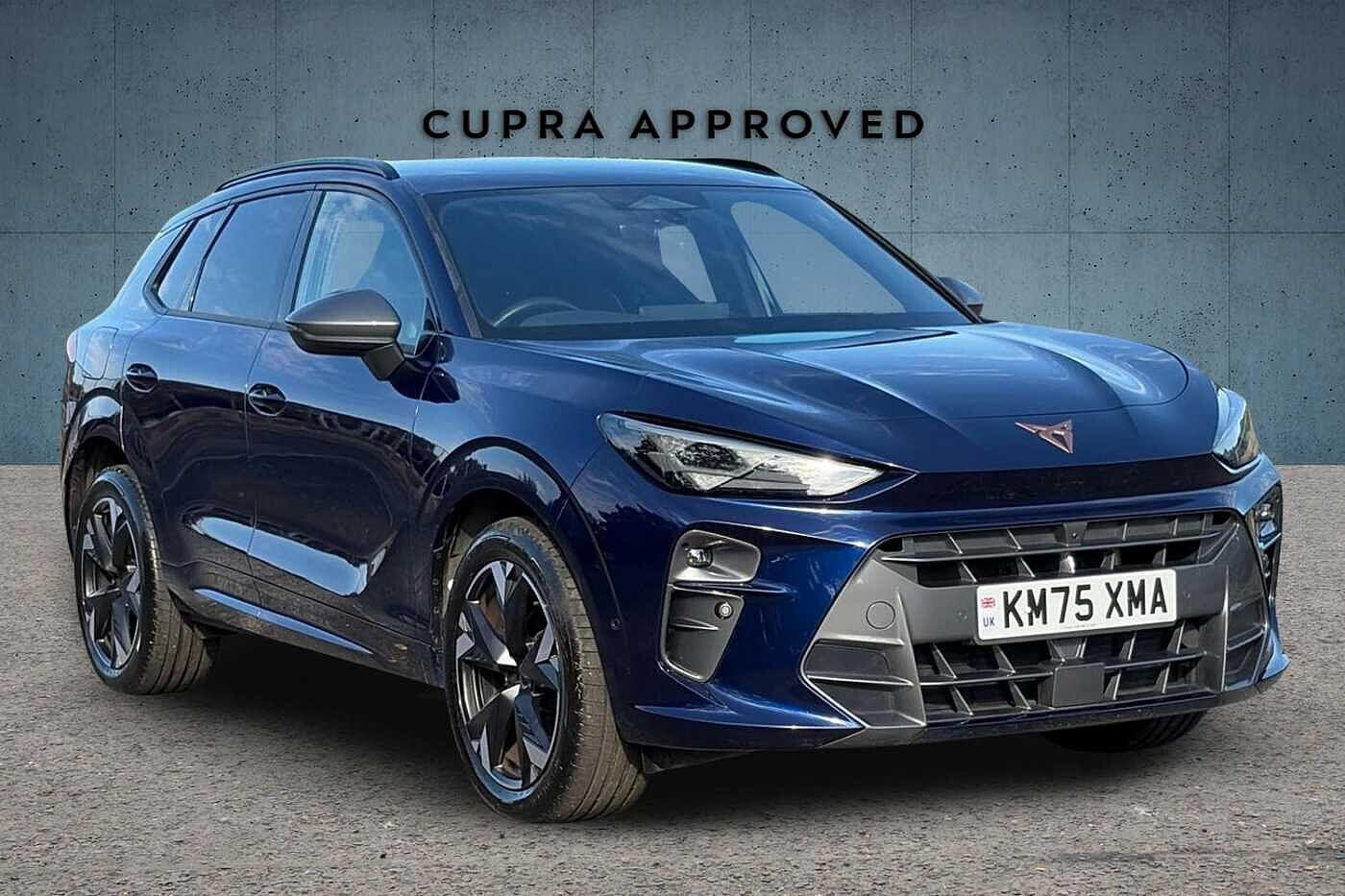 Main listing image - Cupra Terramar
