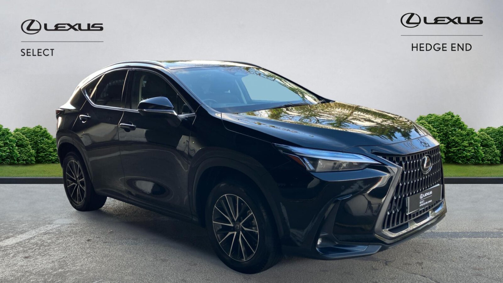 Main listing image - Lexus NX