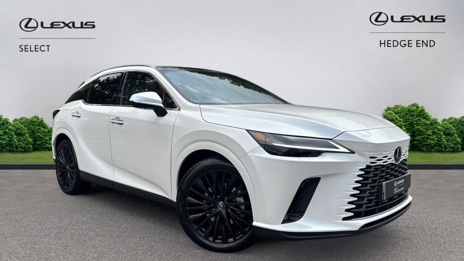 Main listing image - Lexus RX