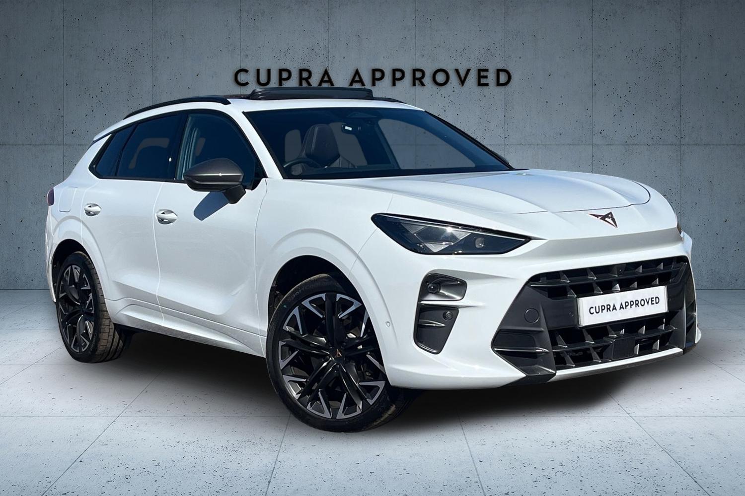 Main listing image - Cupra Terramar