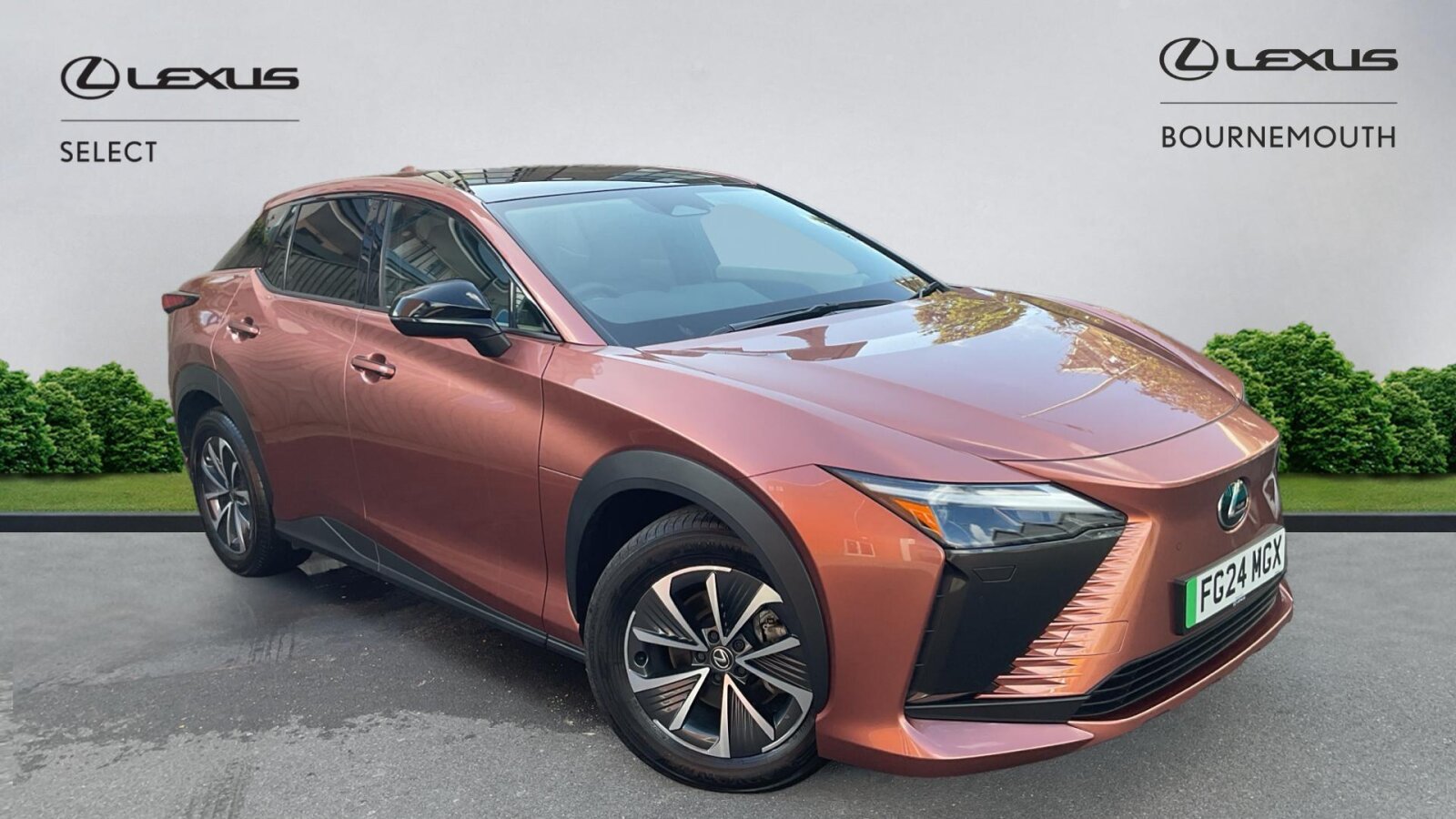 Main listing image - Lexus RZ
