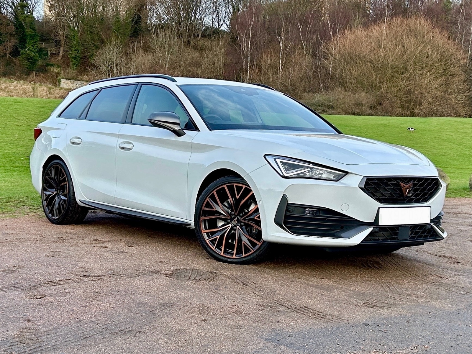 Main listing image - Cupra Leon Estate