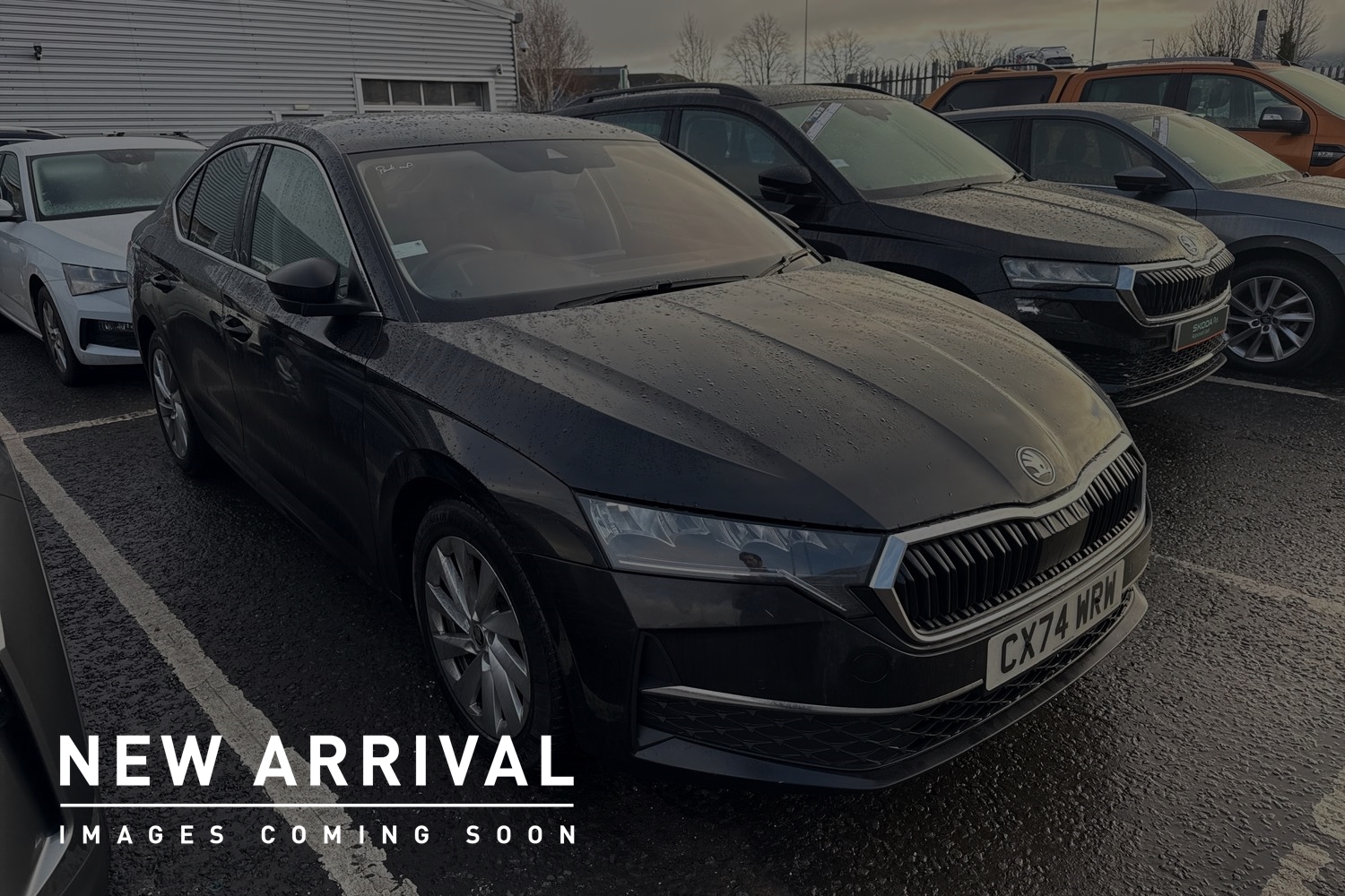Main listing image - Skoda Octavia