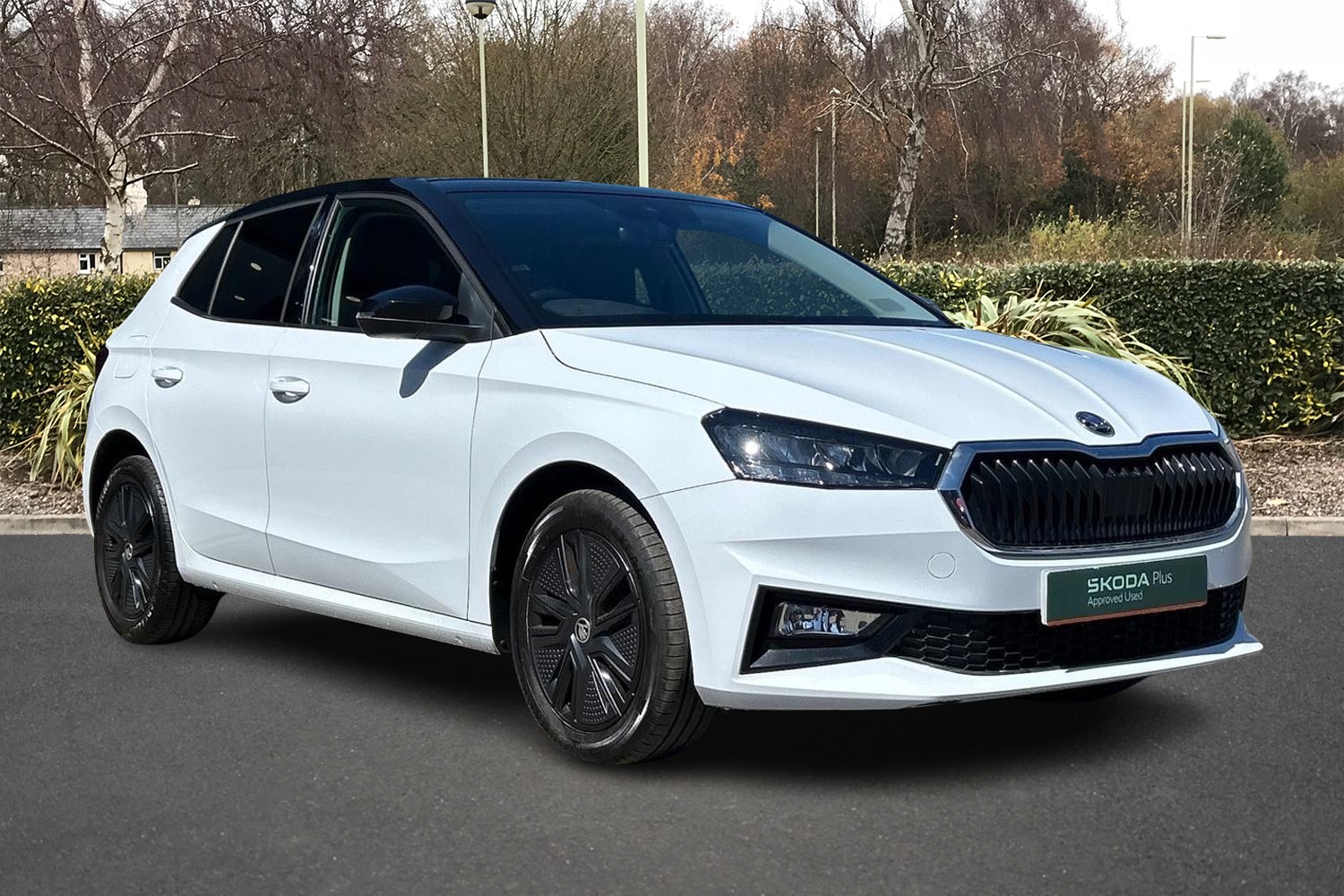 Main listing image - Skoda Fabia