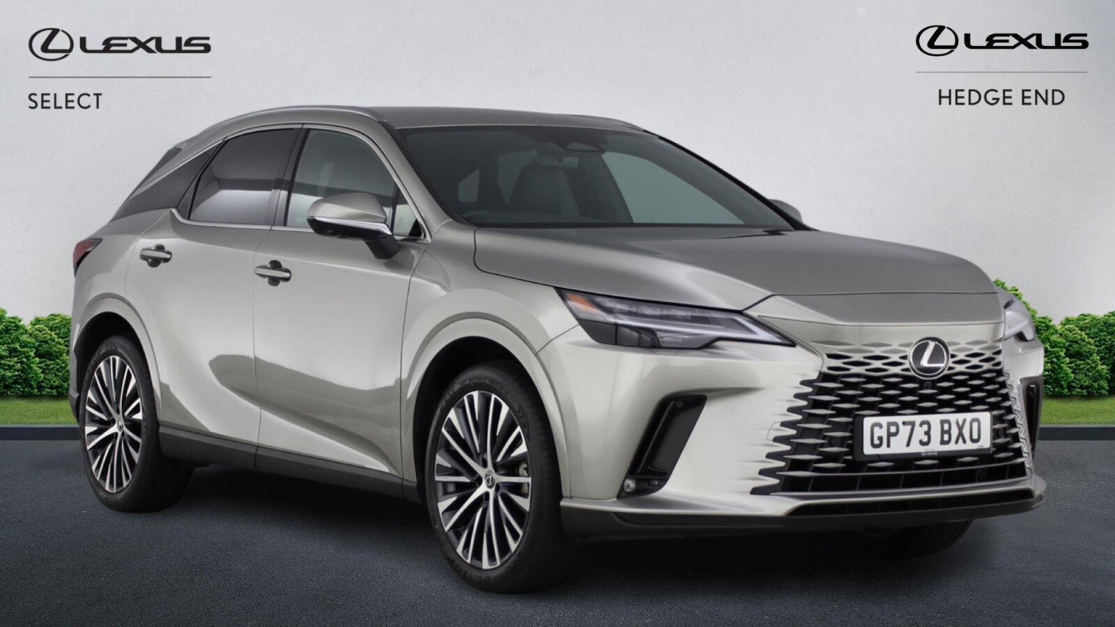 Main listing image - Lexus RX
