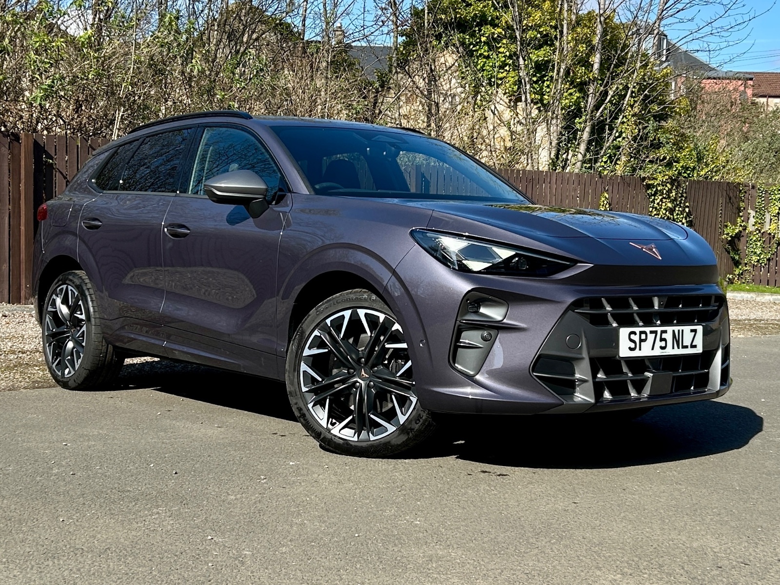 Main listing image - Cupra Terramar