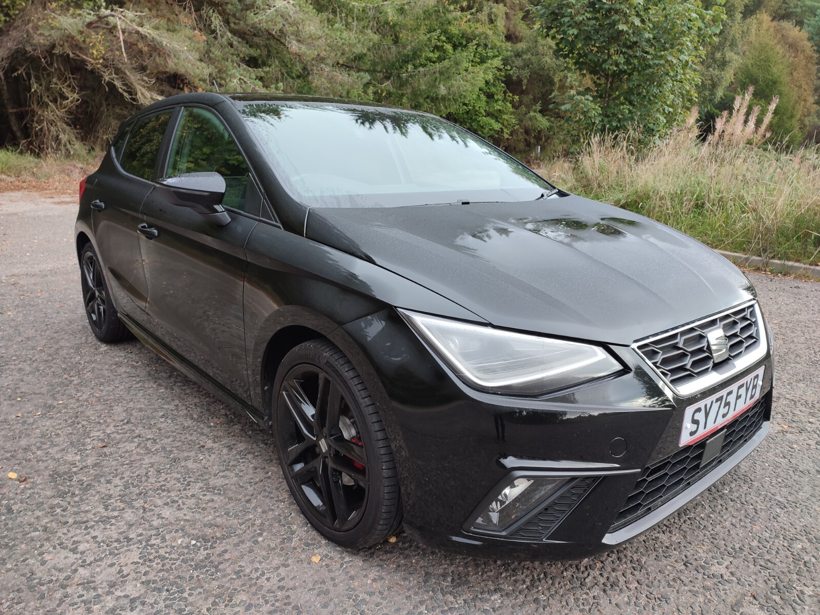 Main listing image - SEAT Ibiza