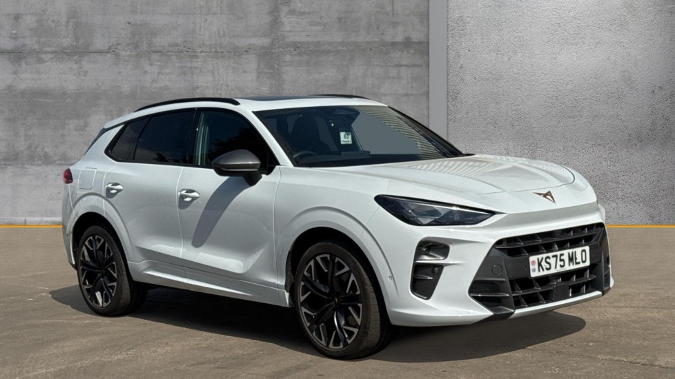 Main listing image - Cupra Terramar