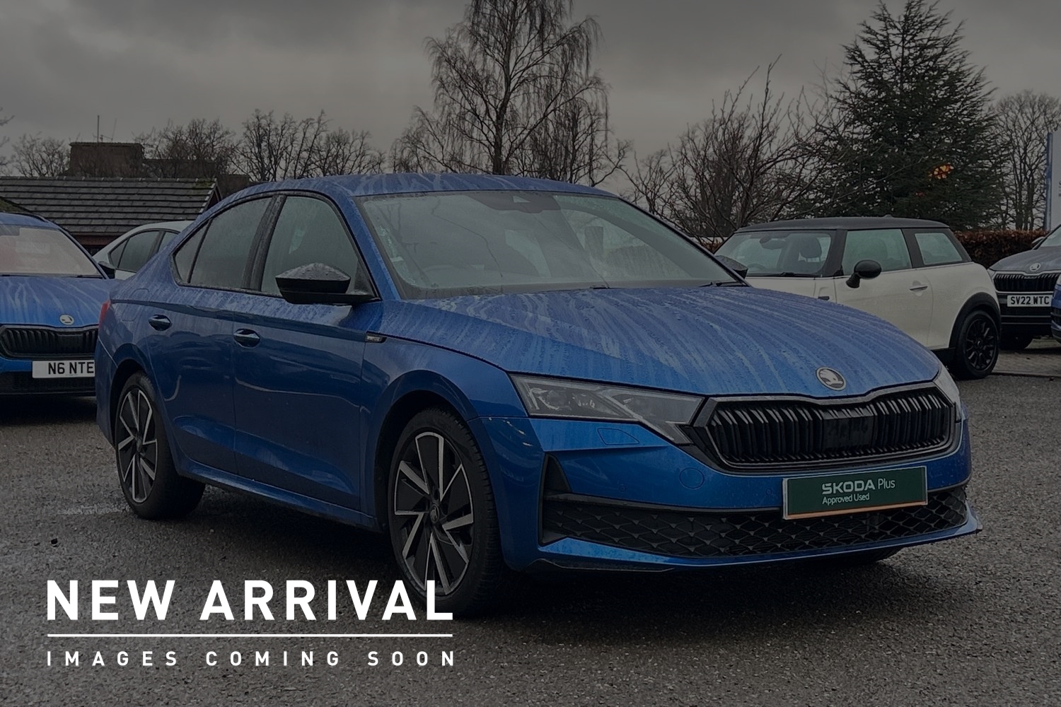 Main listing image - Skoda Octavia