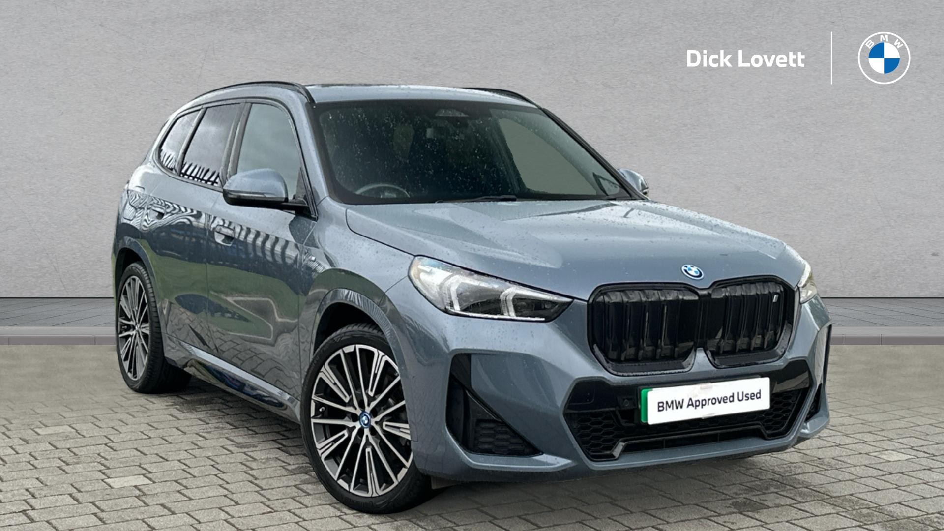 Main listing image - BMW iX1