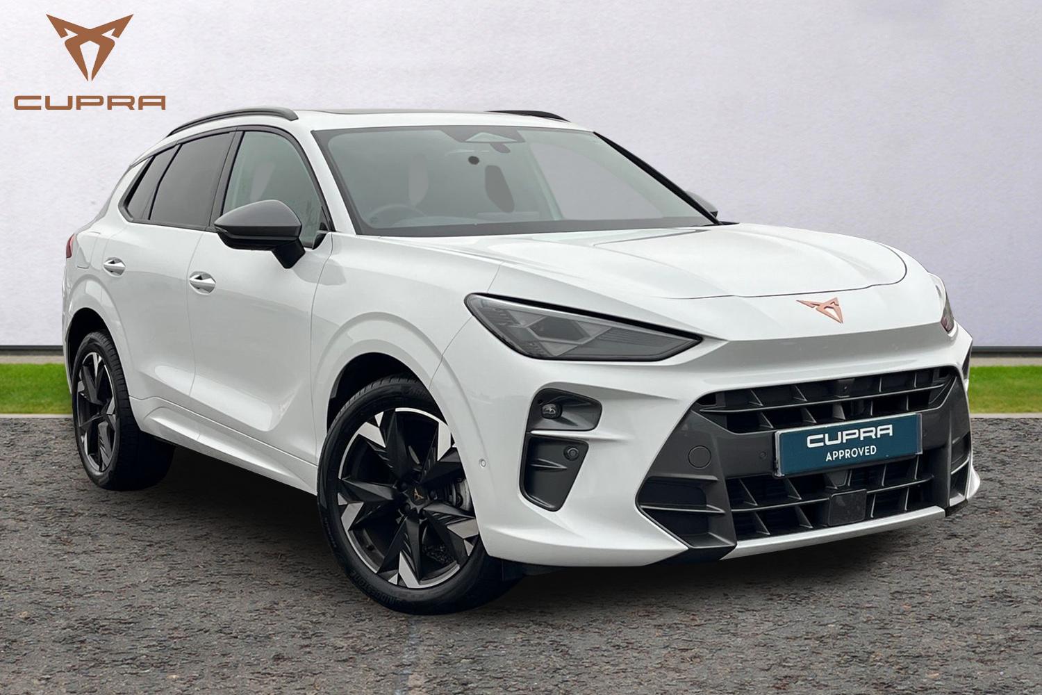 Main listing image - Cupra Terramar