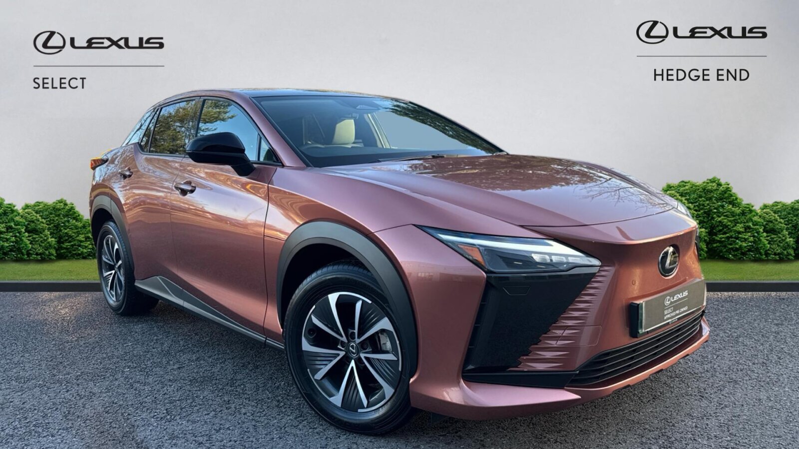 Main listing image - Lexus RZ