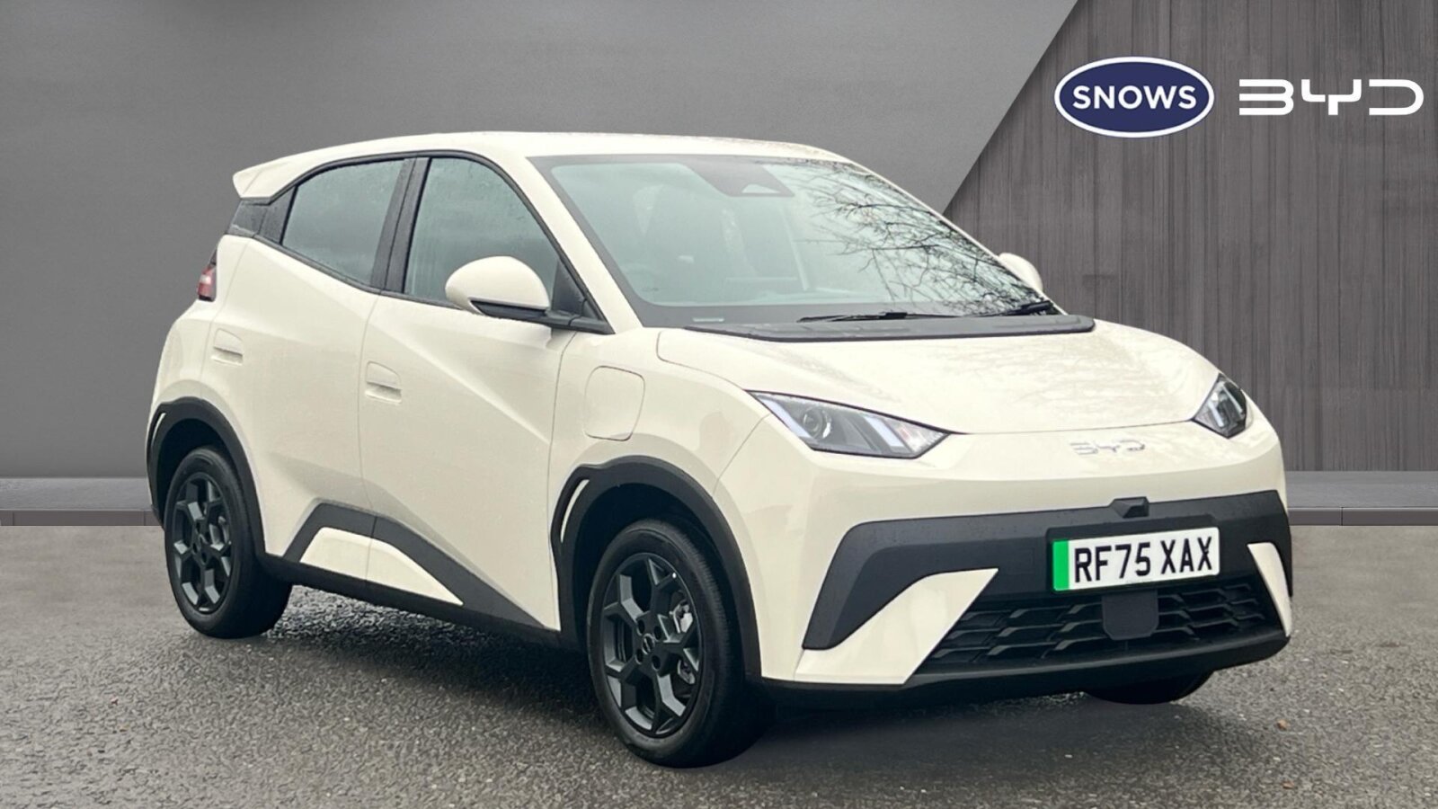 Main listing image - BYD Dolphin Surf