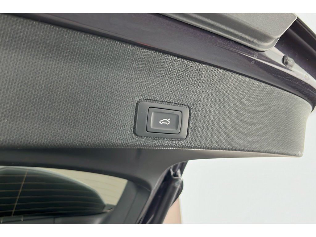 Main listing image - Cupra Terramar