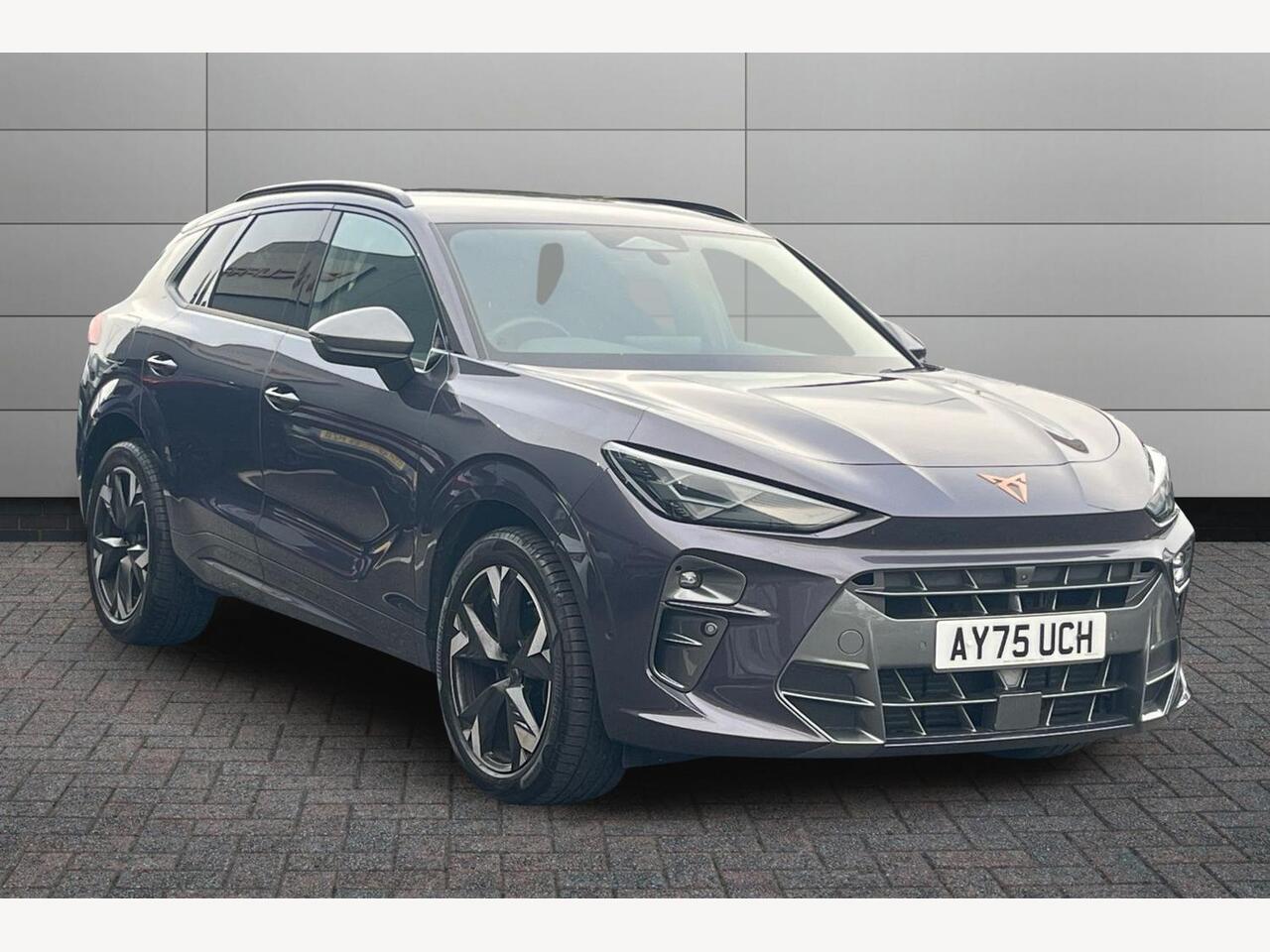 Main listing image - Cupra Terramar