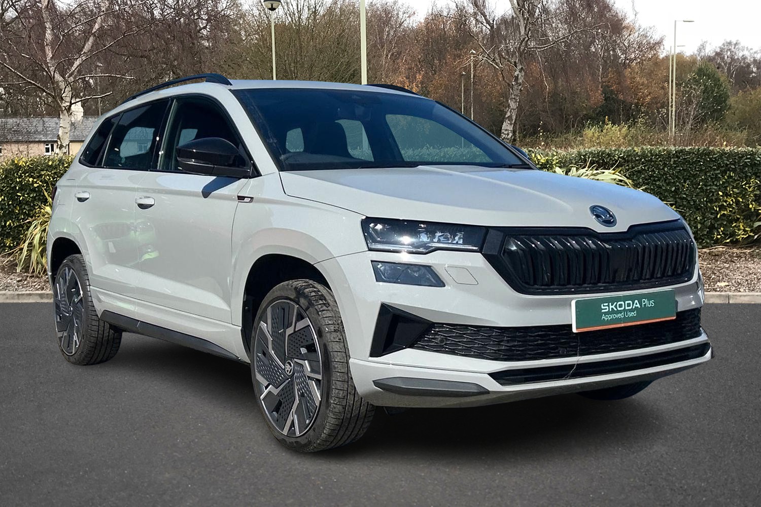 Main listing image - Skoda Karoq
