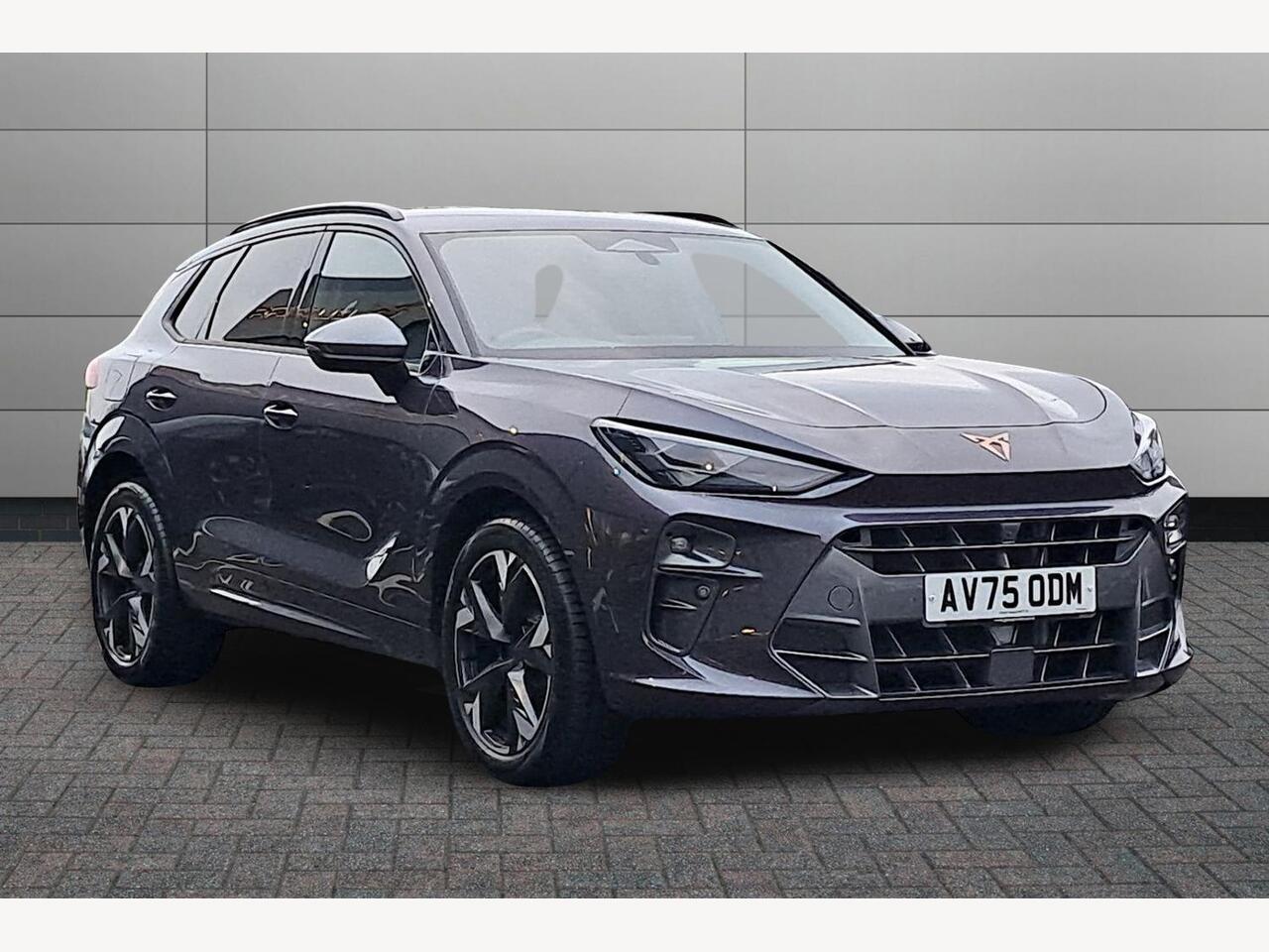 Main listing image - Cupra Terramar