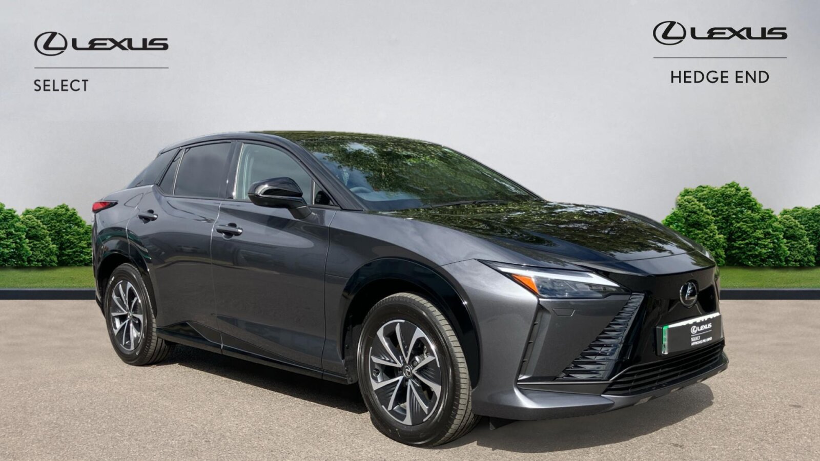 Main listing image - Lexus RZ