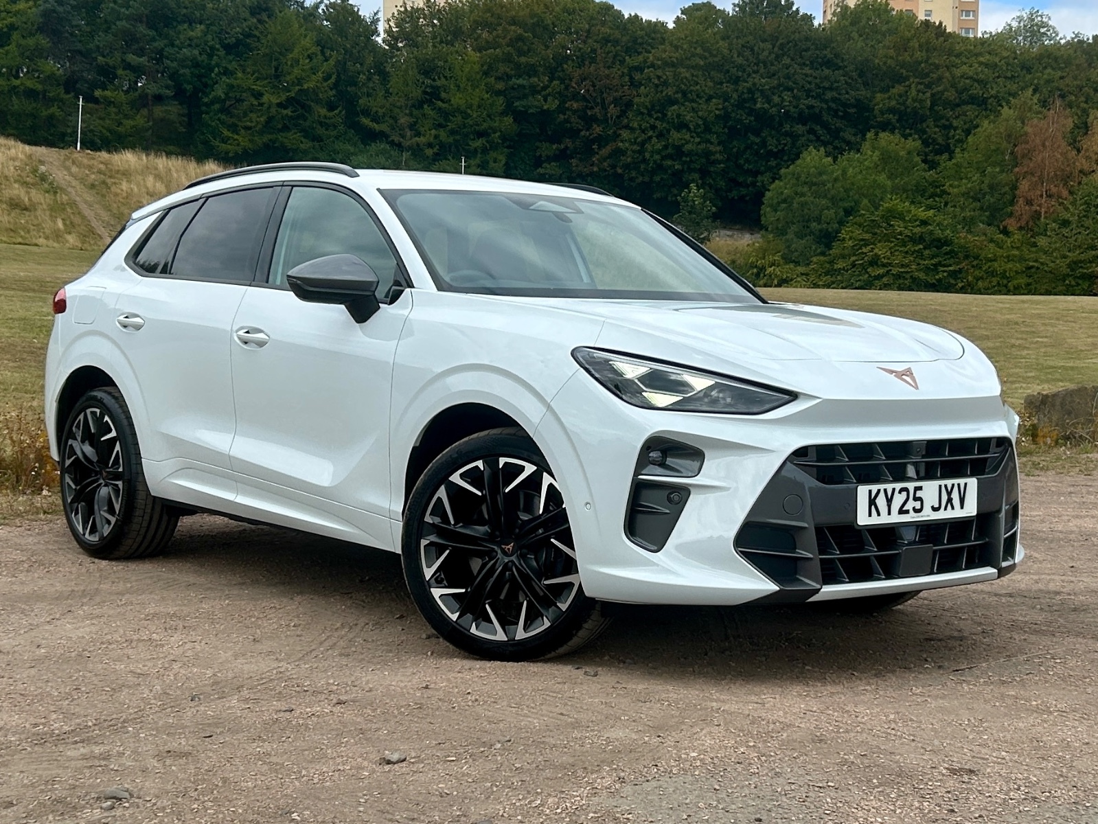 Main listing image - Cupra Terramar