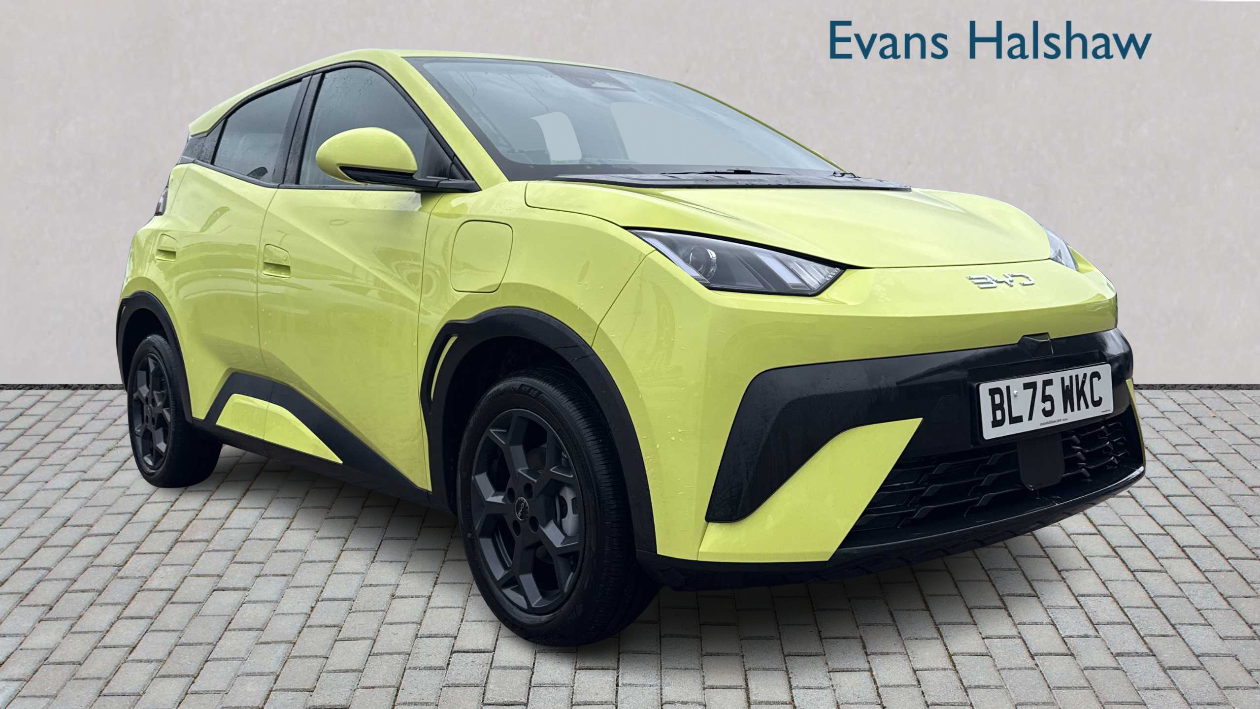 Main listing image - BYD Dolphin Surf