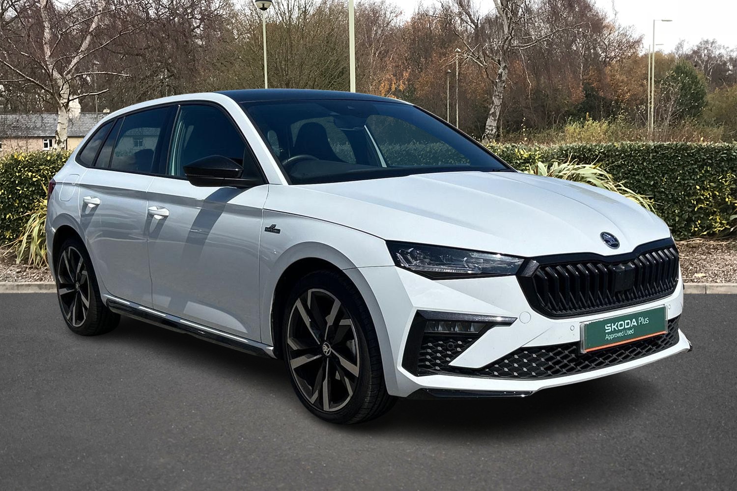 Main listing image - Skoda Scala