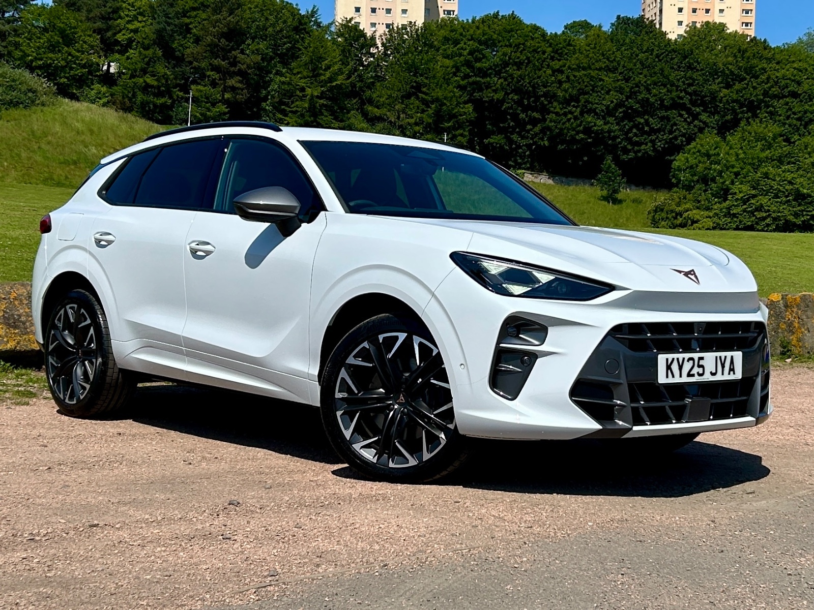 Main listing image - Cupra Terramar