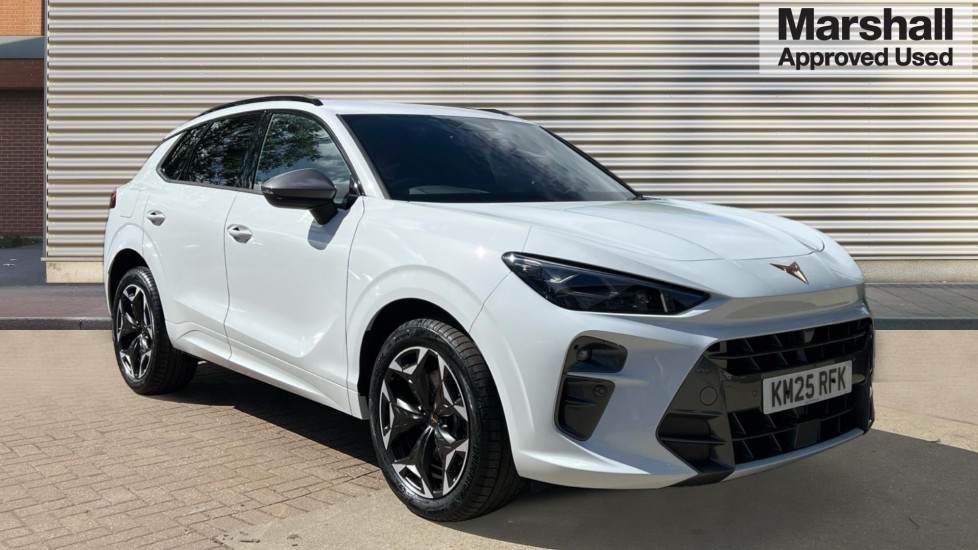 Main listing image - Cupra Terramar