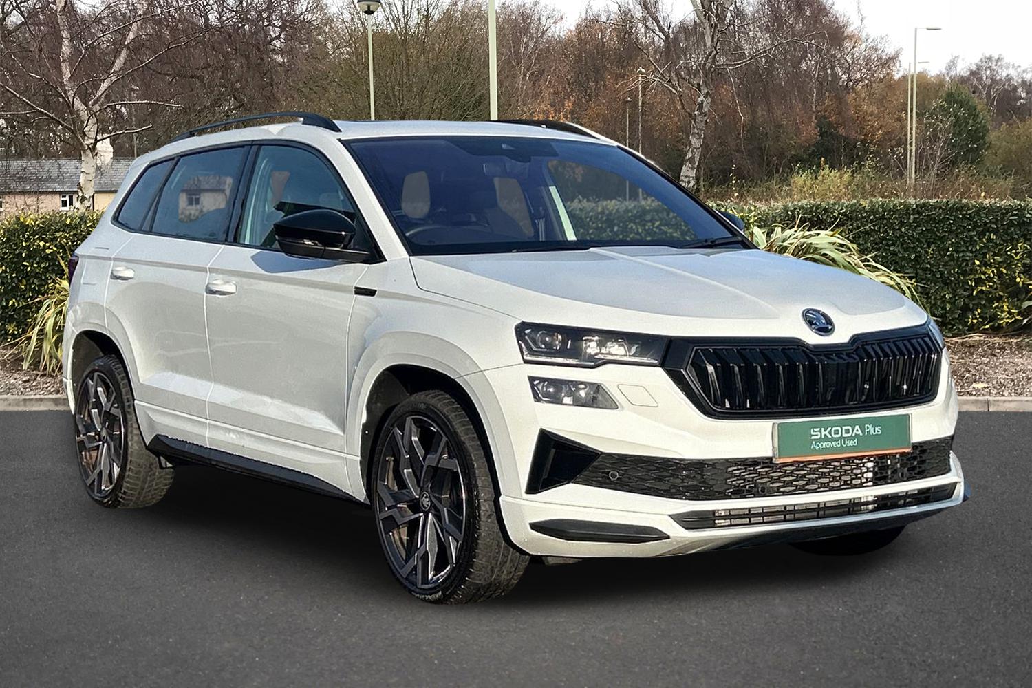 Main listing image - Skoda Karoq