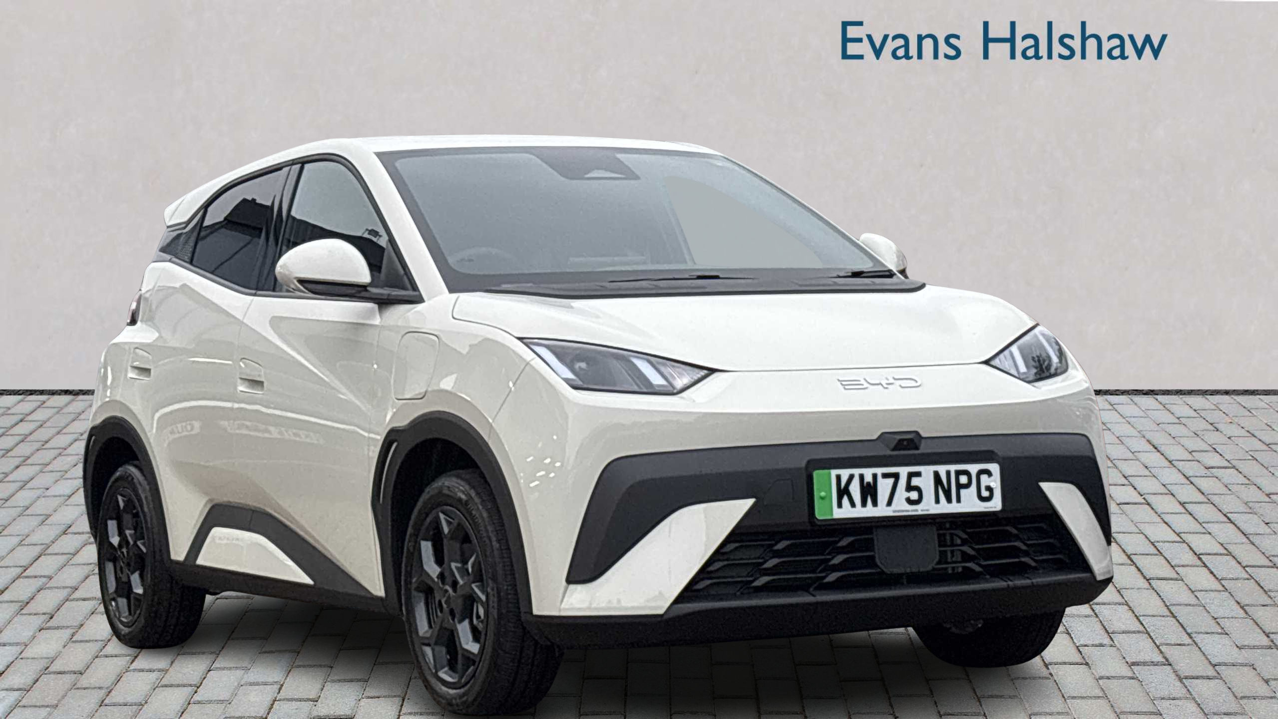 Main listing image - BYD Dolphin Surf