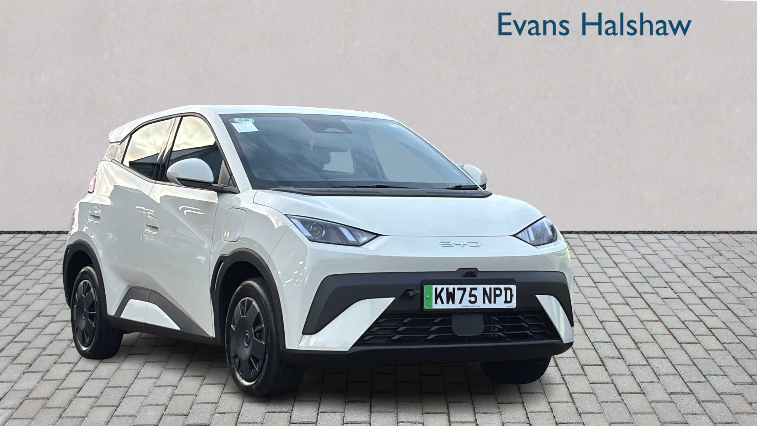 Main listing image - BYD Dolphin Surf