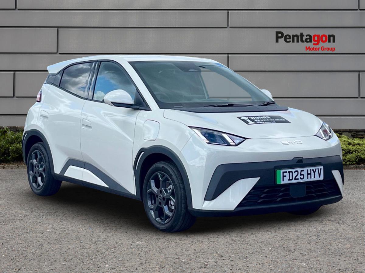 Main listing image - BYD Dolphin Surf