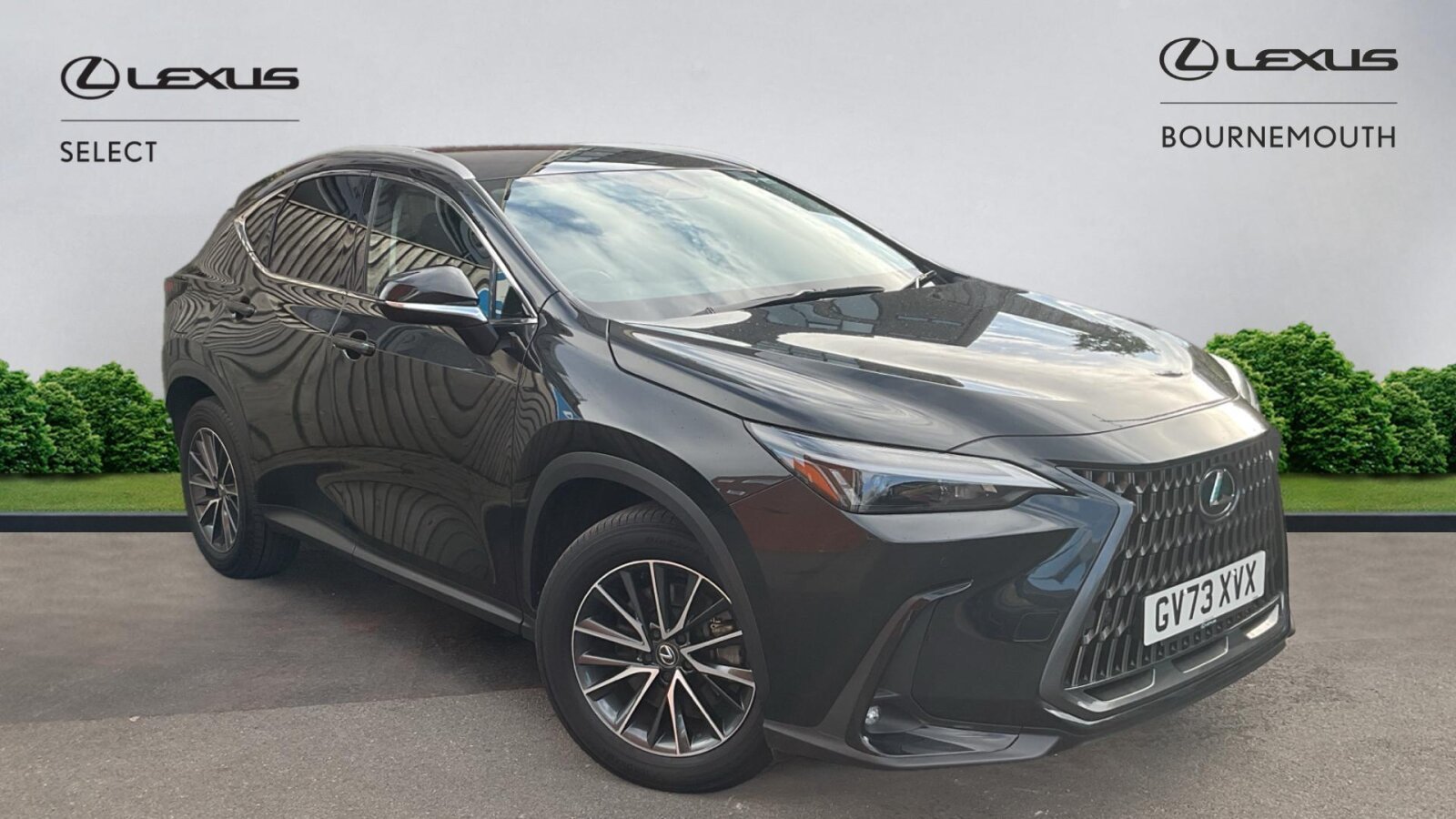 Main listing image - Lexus NX
