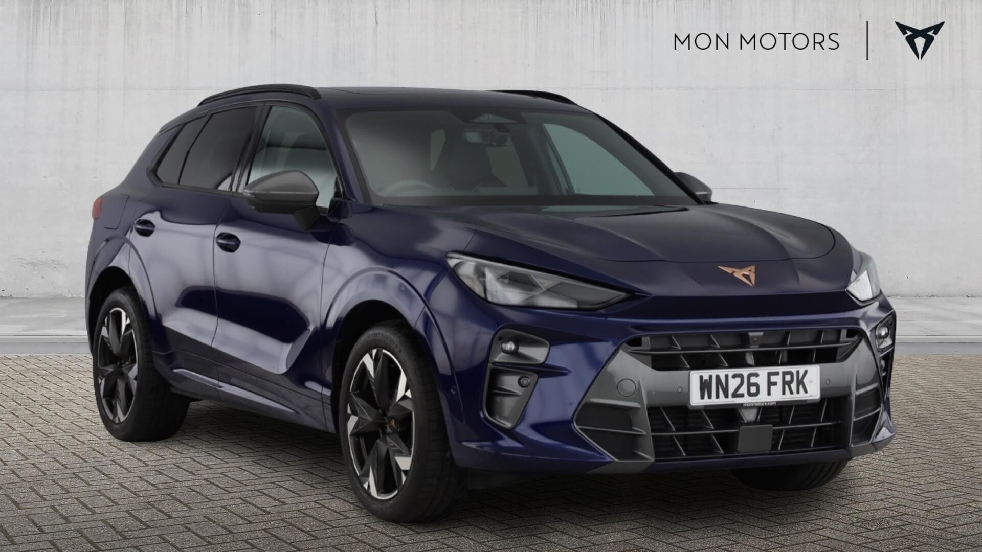 Main listing image - Cupra Terramar
