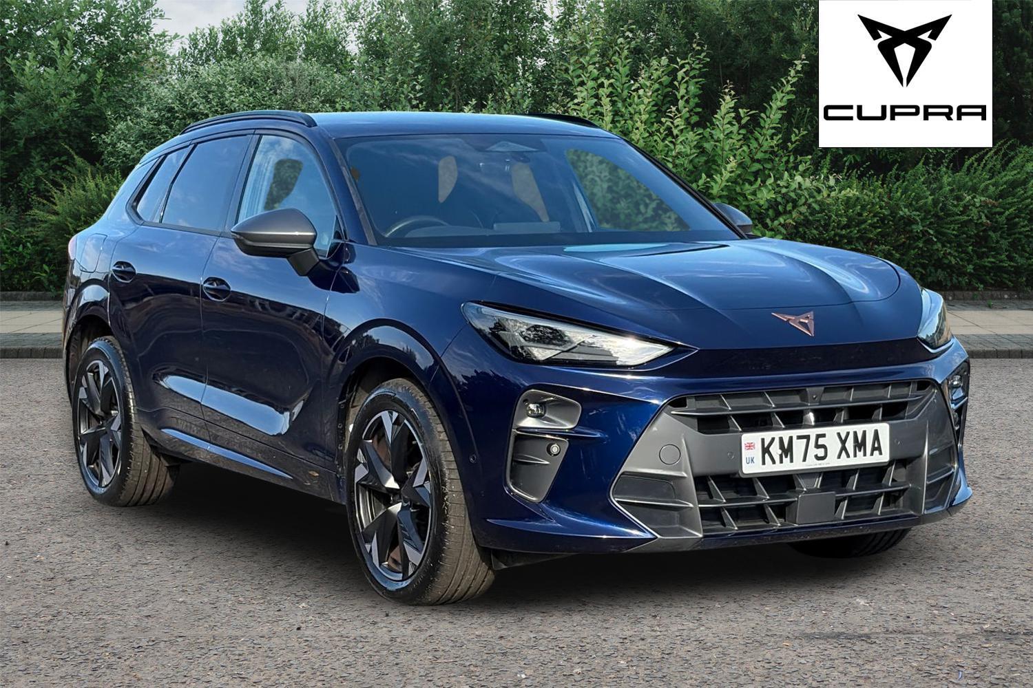 Main listing image - Cupra Terramar