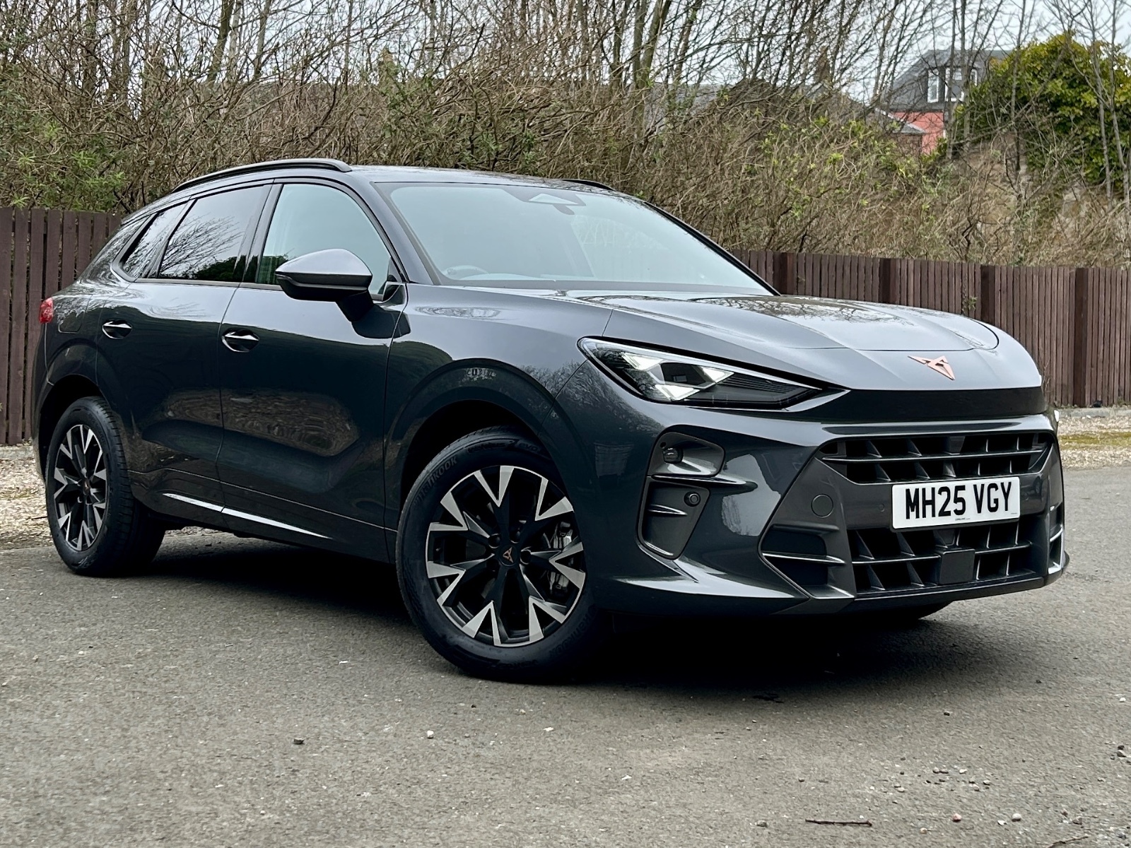 Main listing image - Cupra Terramar